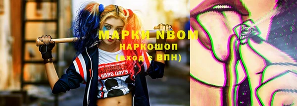 индика Горно-Алтайск